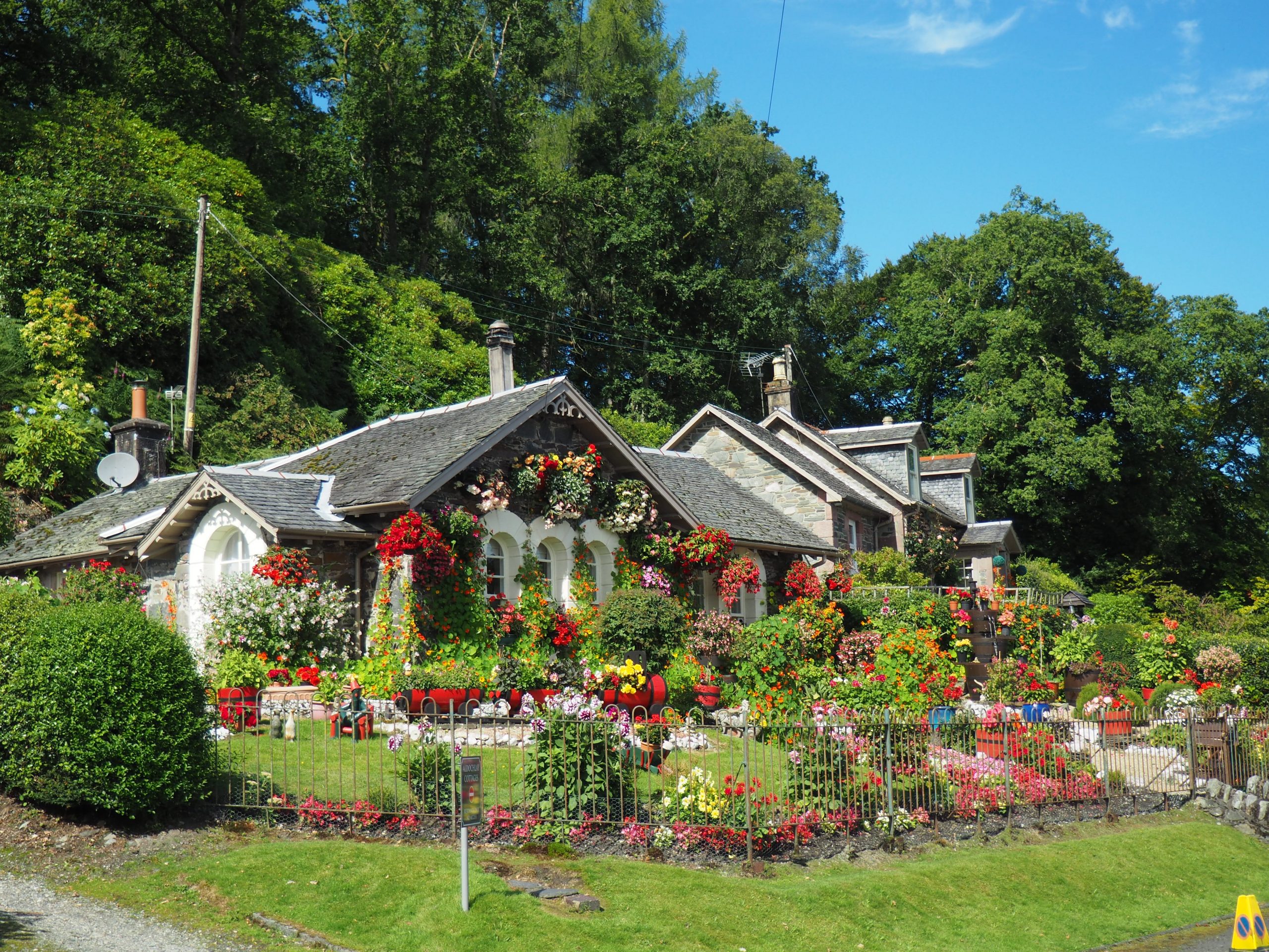 Ogród przed domem – propozycje aranżacji