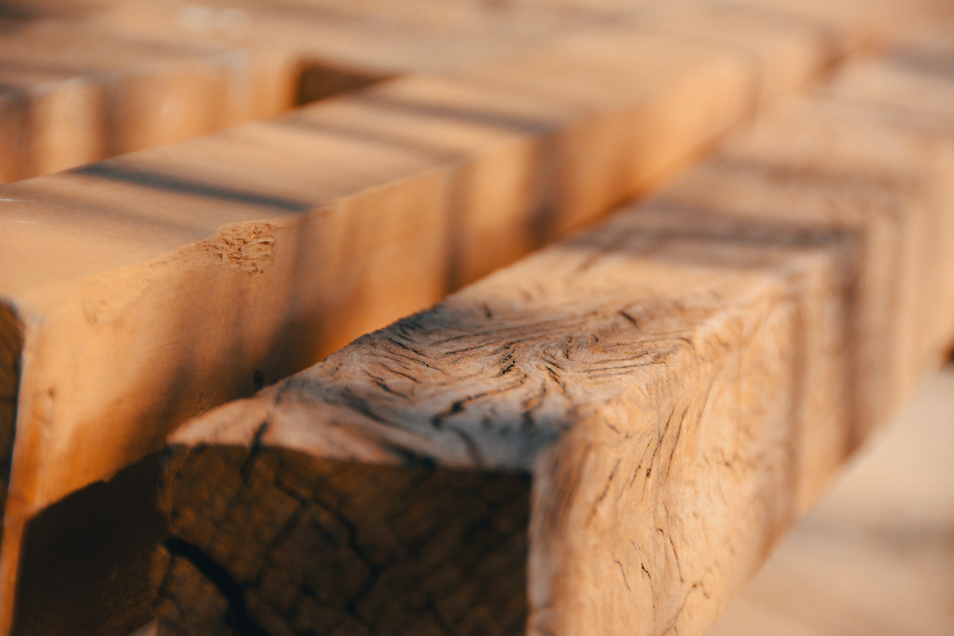 Jakie drewno przyda się przy budowie domu?